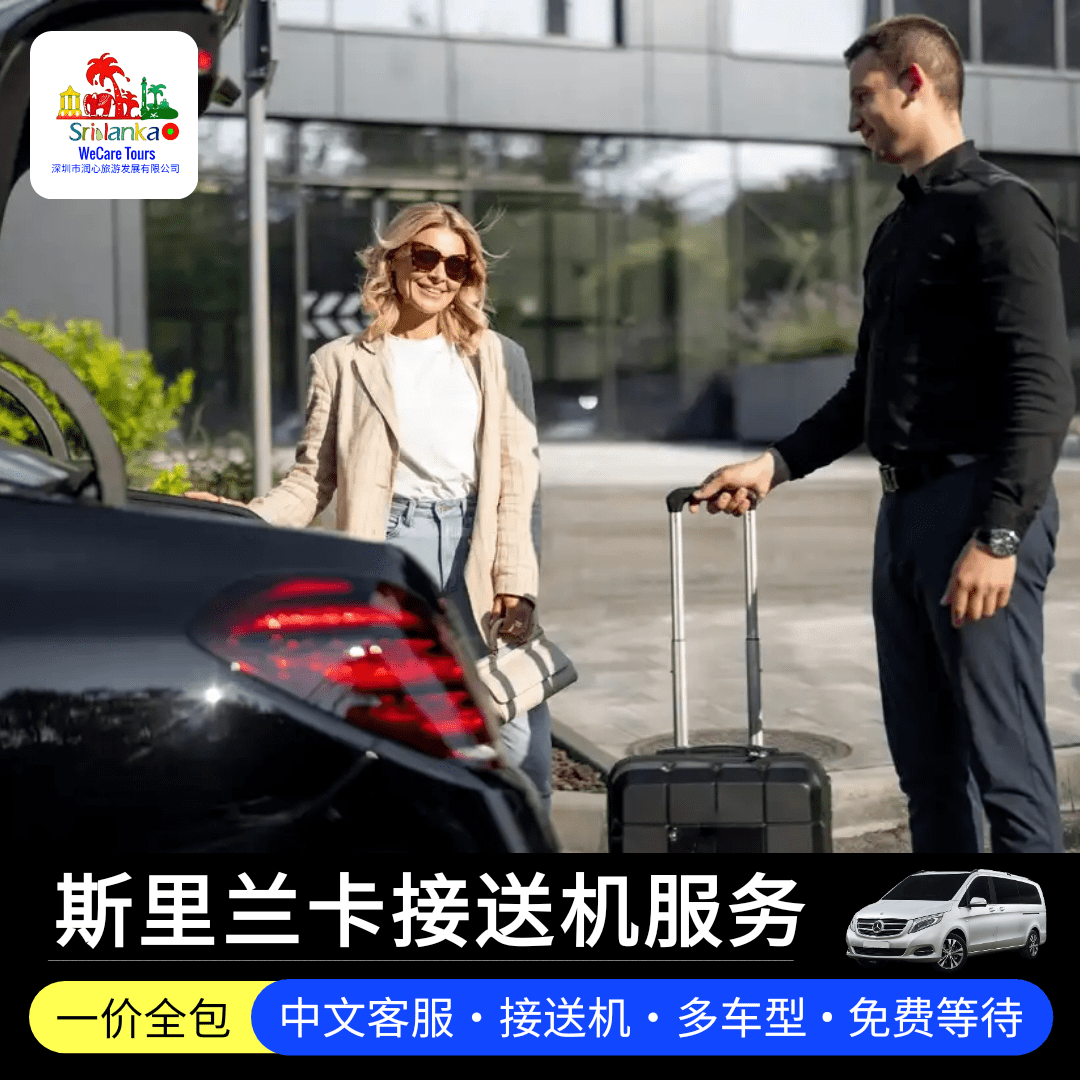 Airport Tranfer baby 1