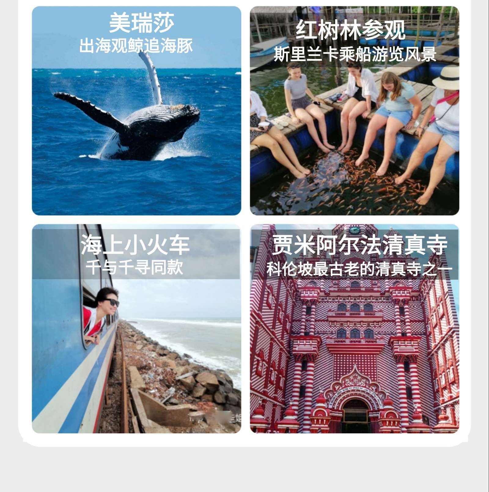 斯里兰卡行程 12天