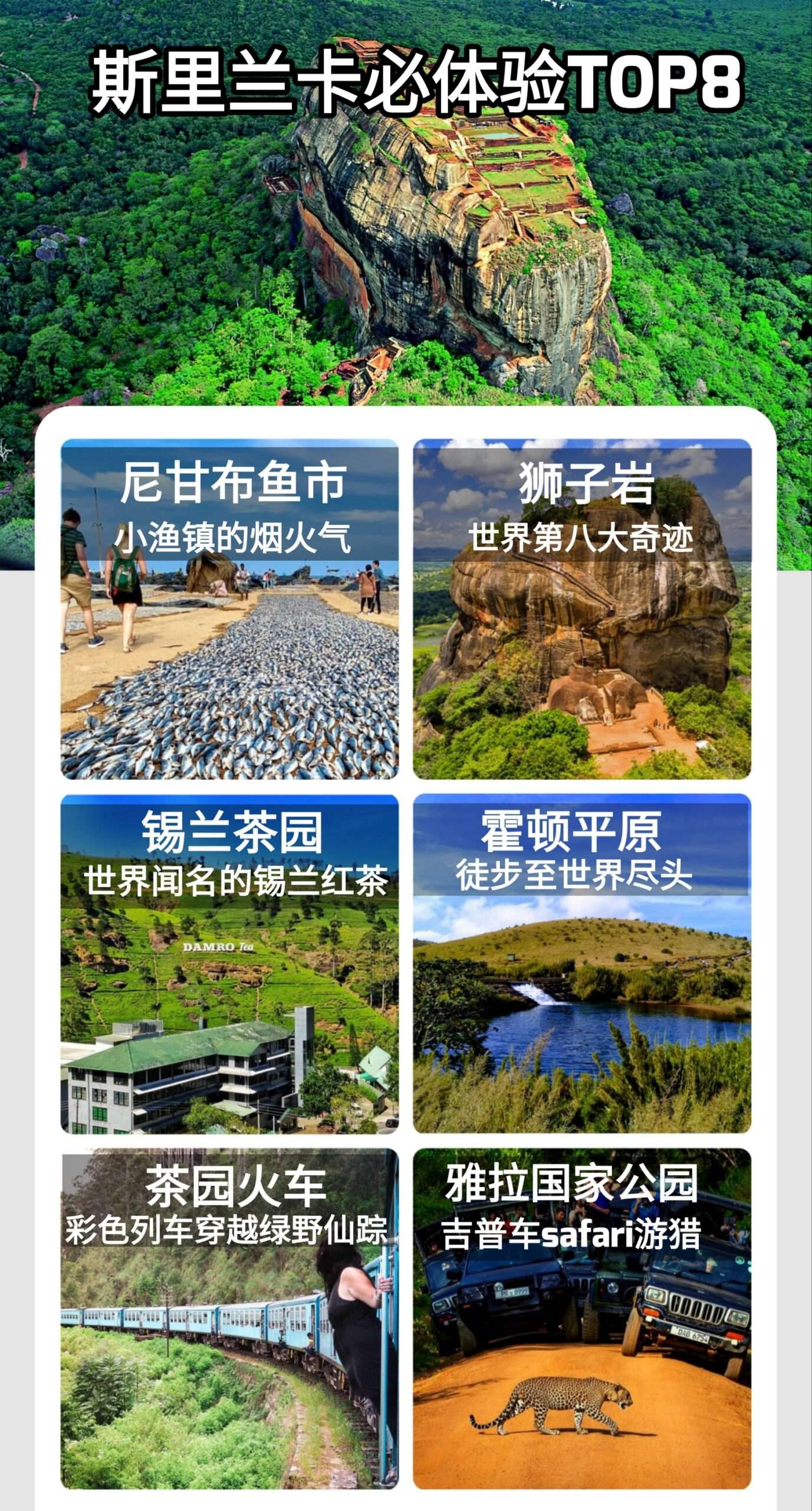 斯里兰卡行程 6天