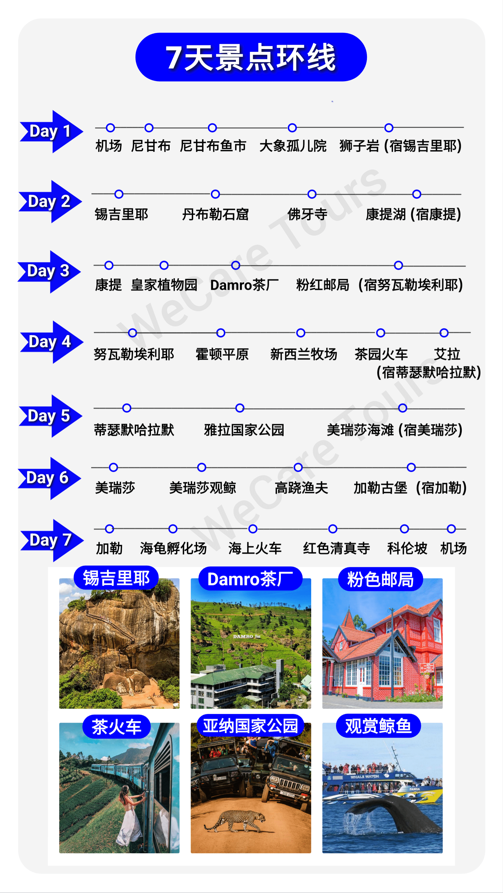 斯里兰卡行程 7天